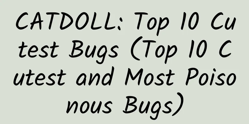 CATDOLL: Top 10 Cutest Bugs (Top 10 Cutest and Most Poisonous Bugs)