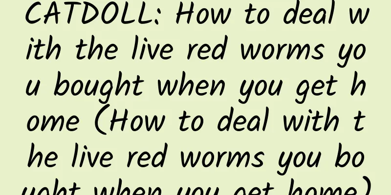 CATDOLL: How to deal with the live red worms you bought when you get home (How to deal with the live red worms you bought when you get home)