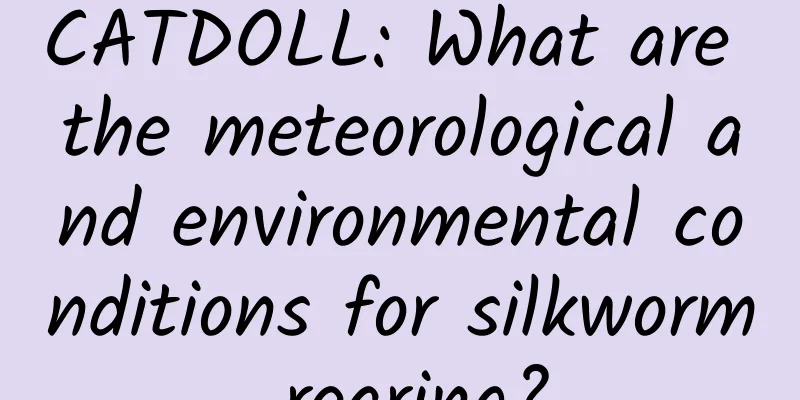 CATDOLL: What are the meteorological and environmental conditions for silkworm rearing?