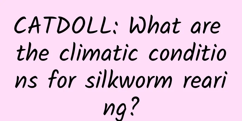 CATDOLL: What are the climatic conditions for silkworm rearing?