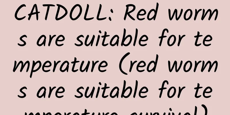CATDOLL: Red worms are suitable for temperature (red worms are suitable for temperature survival)