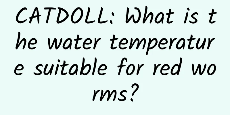 CATDOLL: What is the water temperature suitable for red worms?