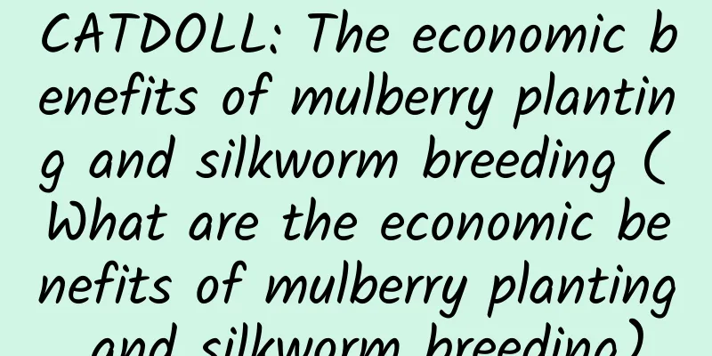 CATDOLL: The economic benefits of mulberry planting and silkworm breeding (What are the economic benefits of mulberry planting and silkworm breeding)