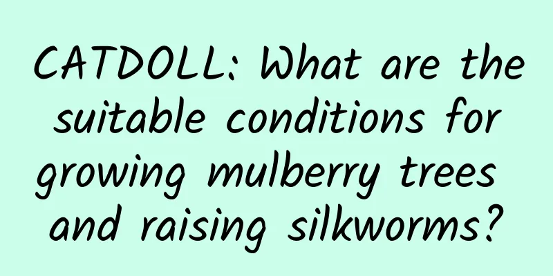 CATDOLL: What are the suitable conditions for growing mulberry trees and raising silkworms?