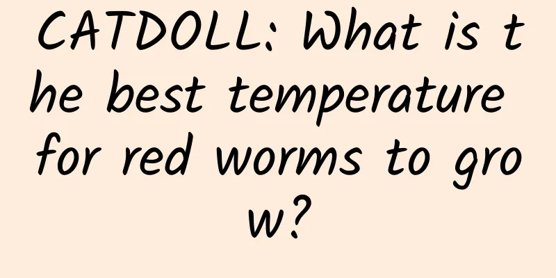 CATDOLL: What is the best temperature for red worms to grow?