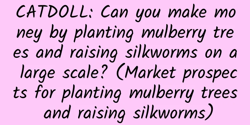 CATDOLL: Can you make money by planting mulberry trees and raising silkworms on a large scale? (Market prospects for planting mulberry trees and raising silkworms)