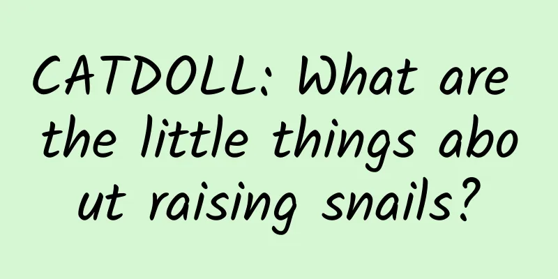 CATDOLL: What are the little things about raising snails?