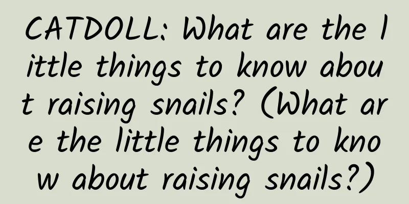 CATDOLL: What are the little things to know about raising snails? (What are the little things to know about raising snails?)