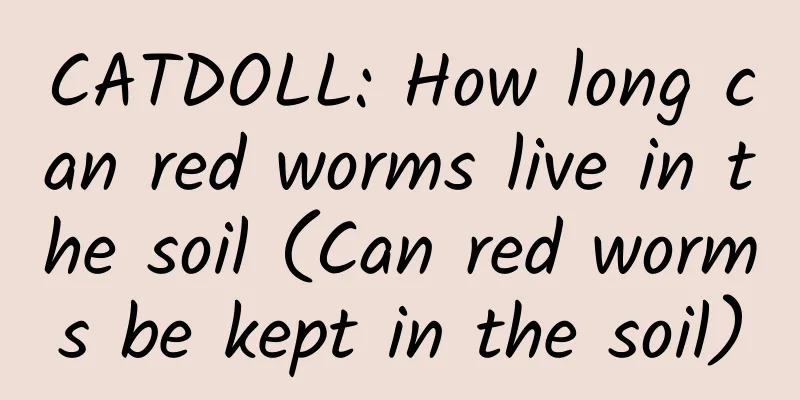 CATDOLL: How long can red worms live in the soil (Can red worms be kept in the soil)