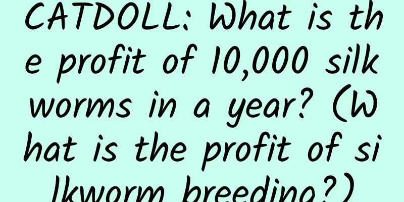 CATDOLL: What is the profit of 10,000 silkworms in a year? (What is the profit of silkworm breeding?)