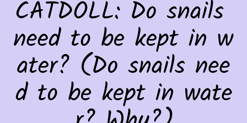 CATDOLL: Do snails need to be kept in water? (Do snails need to be kept in water? Why?)
