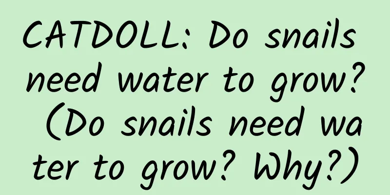 CATDOLL: Do snails need water to grow? (Do snails need water to grow? Why?)