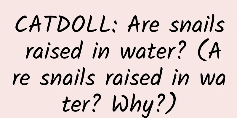 CATDOLL: Are snails raised in water? (Are snails raised in water? Why?)
