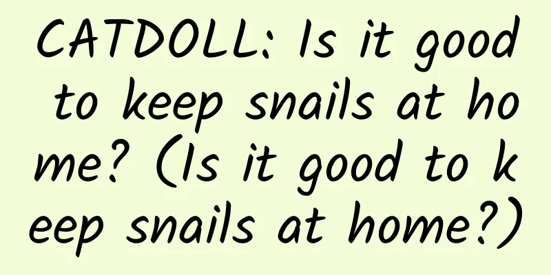 CATDOLL: Is it good to keep snails at home? (Is it good to keep snails at home?)