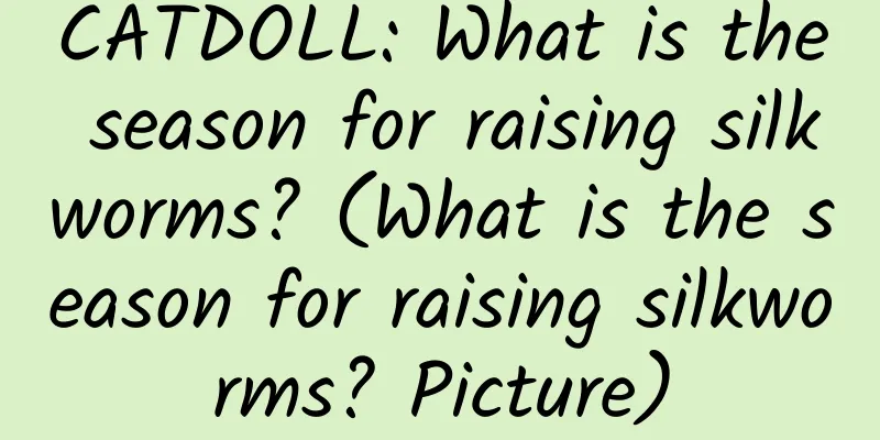 CATDOLL: What is the season for raising silkworms? (What is the season for raising silkworms? Picture)