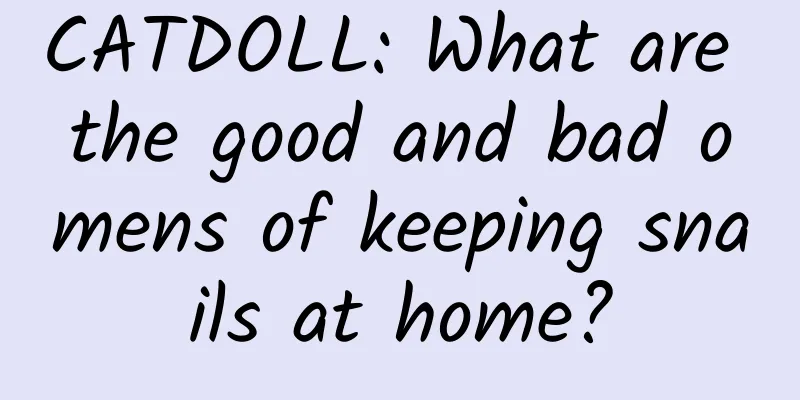 CATDOLL: What are the good and bad omens of keeping snails at home?