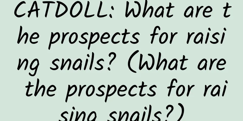 CATDOLL: What are the prospects for raising snails? (What are the prospects for raising snails?)