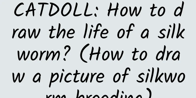 CATDOLL: How to draw the life of a silkworm? (How to draw a picture of silkworm breeding)