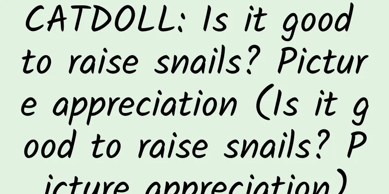 CATDOLL: Is it good to raise snails? Picture appreciation (Is it good to raise snails? Picture appreciation)