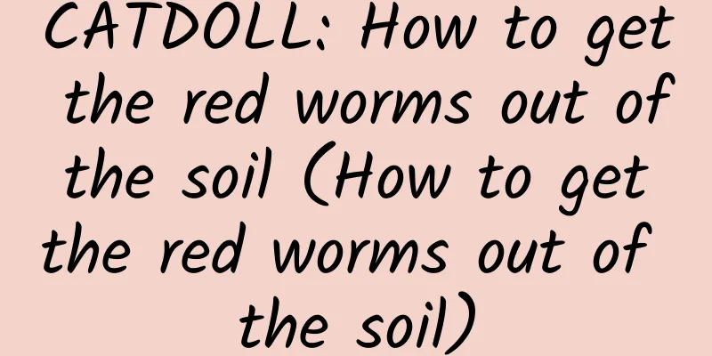CATDOLL: How to get the red worms out of the soil (How to get the red worms out of the soil)