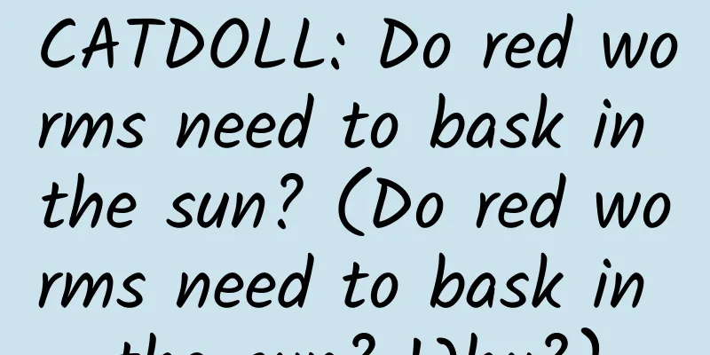 CATDOLL: Do red worms need to bask in the sun? (Do red worms need to bask in the sun? Why?)