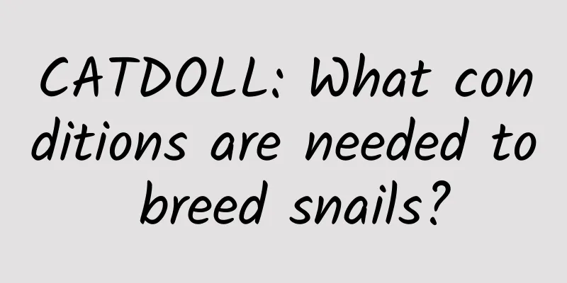 CATDOLL: What conditions are needed to breed snails?