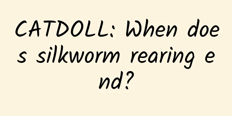 CATDOLL: When does silkworm rearing end?