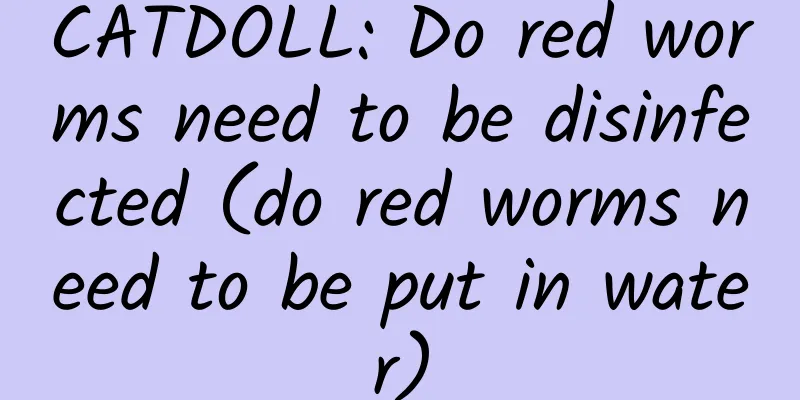 CATDOLL: Do red worms need to be disinfected (do red worms need to be put in water)