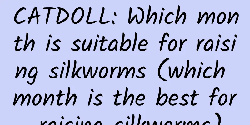 CATDOLL: Which month is suitable for raising silkworms (which month is the best for raising silkworms)