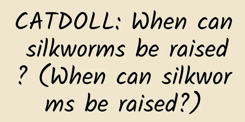 CATDOLL: When can silkworms be raised? (When can silkworms be raised?)