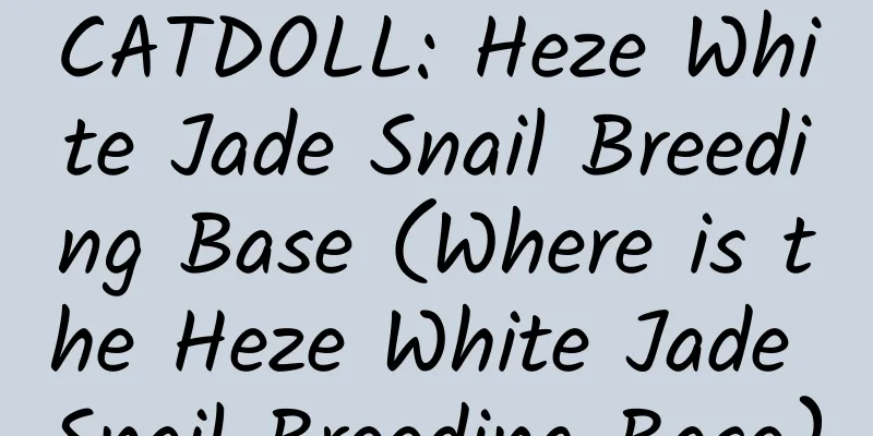 CATDOLL: Heze White Jade Snail Breeding Base (Where is the Heze White Jade Snail Breeding Base)