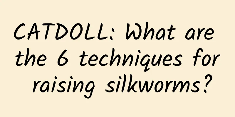 CATDOLL: What are the 6 techniques for raising silkworms?