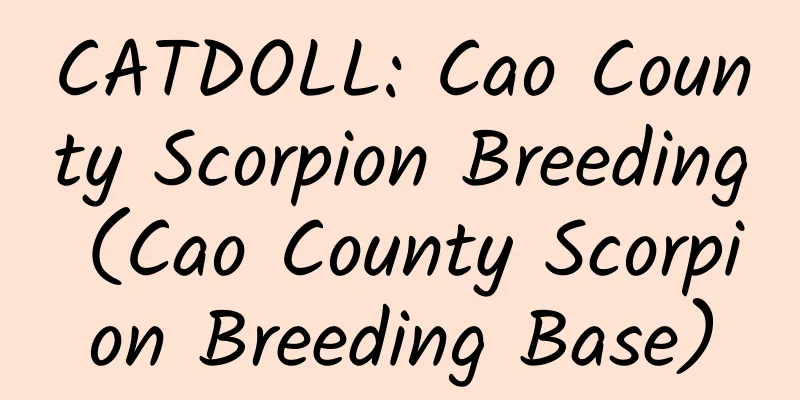 CATDOLL: Cao County Scorpion Breeding (Cao County Scorpion Breeding Base)
