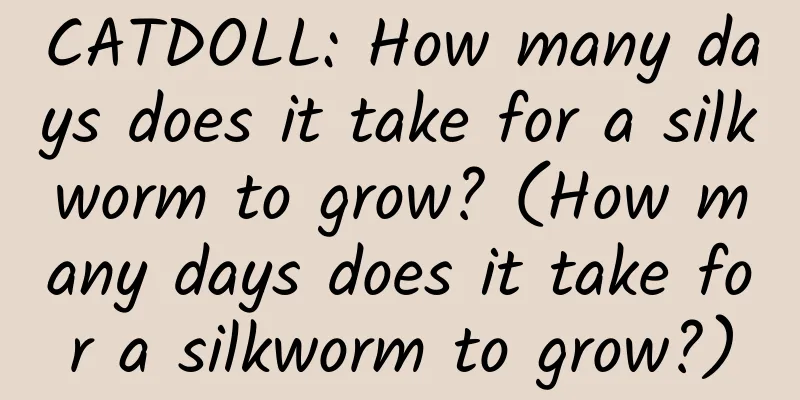 CATDOLL: How many days does it take for a silkworm to grow? (How many days does it take for a silkworm to grow?)