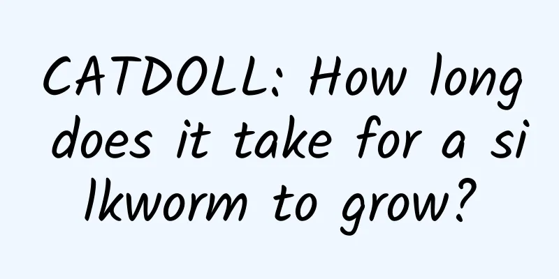 CATDOLL: How long does it take for a silkworm to grow?