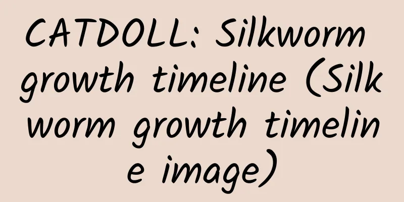 CATDOLL: Silkworm growth timeline (Silkworm growth timeline image)