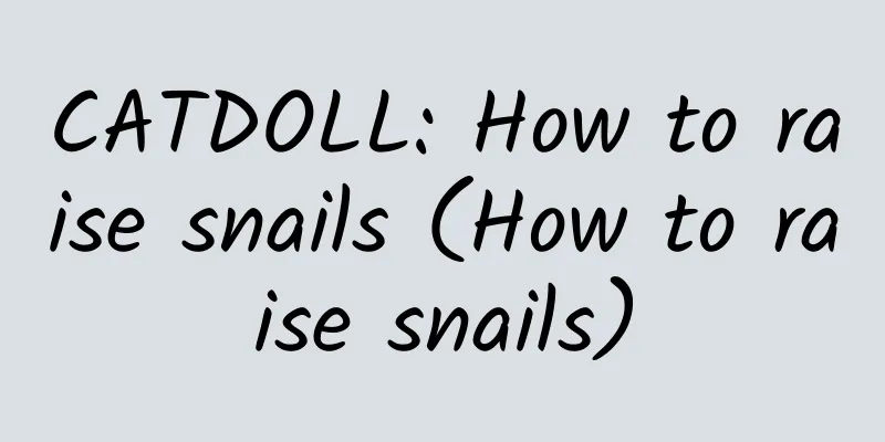 CATDOLL: How to raise snails (How to raise snails)