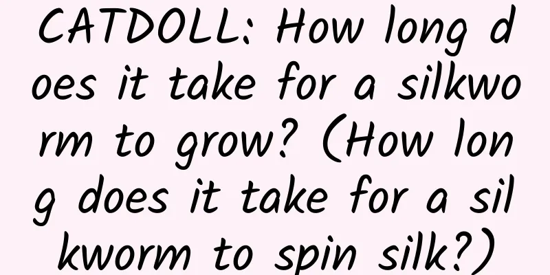 CATDOLL: How long does it take for a silkworm to grow? (How long does it take for a silkworm to spin silk?)