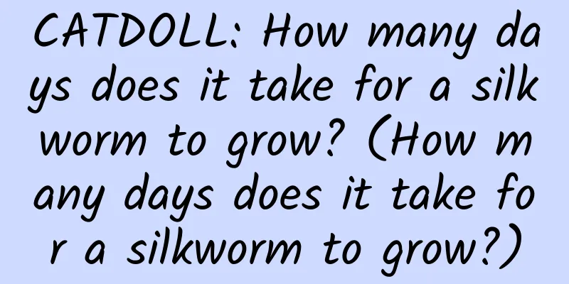 CATDOLL: How many days does it take for a silkworm to grow? (How many days does it take for a silkworm to grow?)