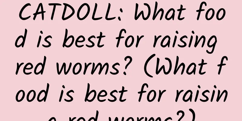 CATDOLL: What food is best for raising red worms? (What food is best for raising red worms?)