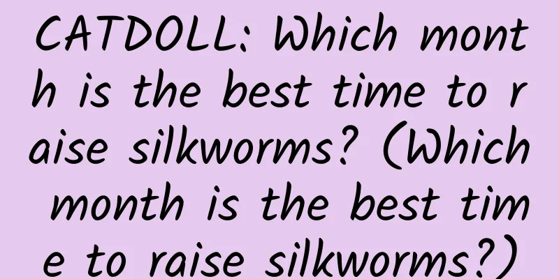 CATDOLL: Which month is the best time to raise silkworms? (Which month is the best time to raise silkworms?)