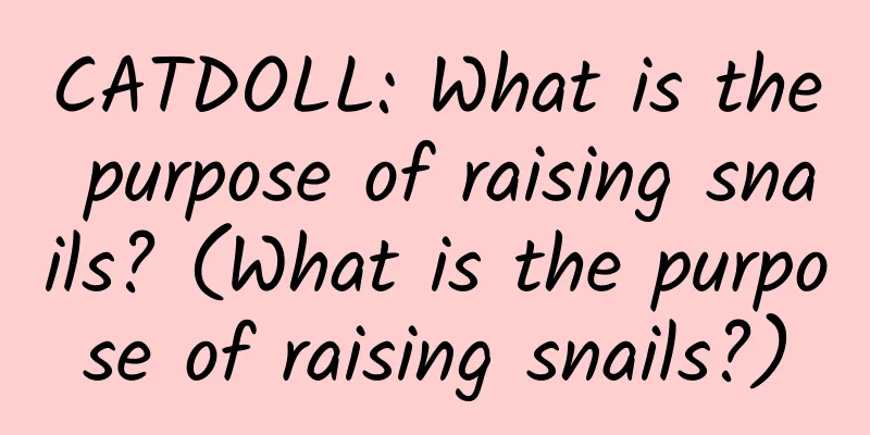 CATDOLL: What is the purpose of raising snails? (What is the purpose of raising snails?)