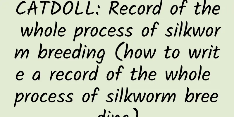 CATDOLL: Record of the whole process of silkworm breeding (how to write a record of the whole process of silkworm breeding)