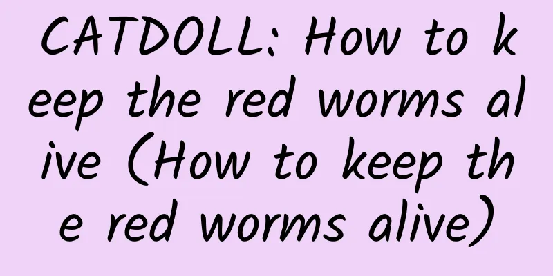 CATDOLL: How to keep the red worms alive (How to keep the red worms alive)