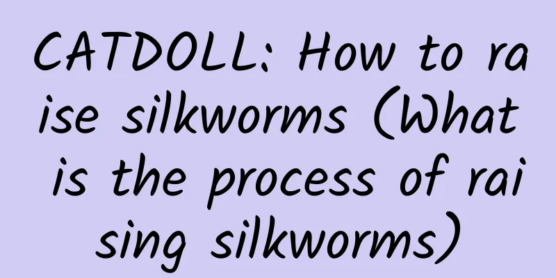 CATDOLL: How to raise silkworms (What is the process of raising silkworms)