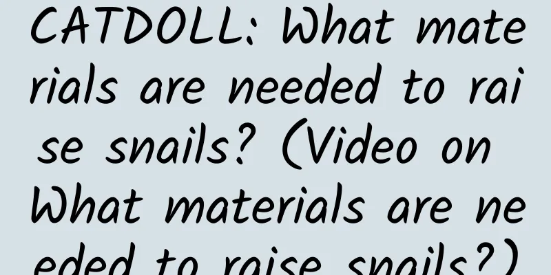 CATDOLL: What materials are needed to raise snails? (Video on What materials are needed to raise snails?)