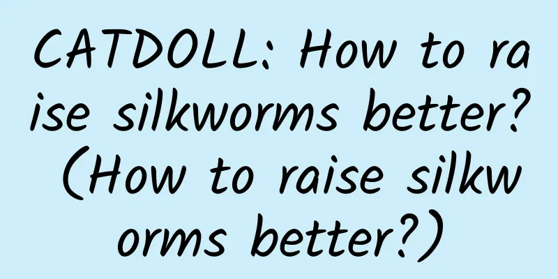 CATDOLL: How to raise silkworms better? (How to raise silkworms better?)