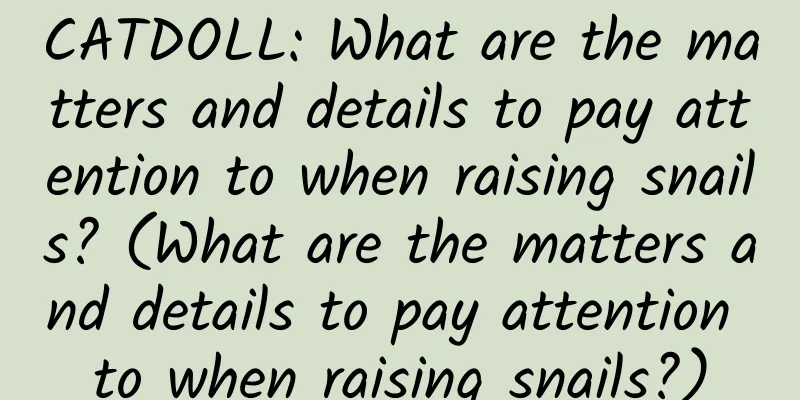 CATDOLL: What are the matters and details to pay attention to when raising snails? (What are the matters and details to pay attention to when raising snails?)