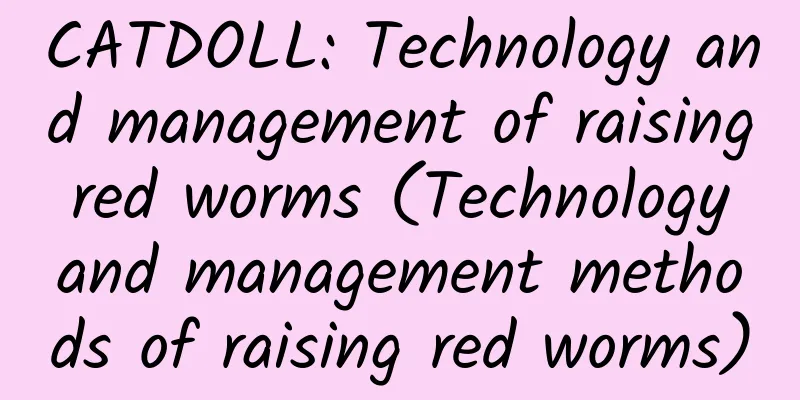 CATDOLL: Technology and management of raising red worms (Technology and management methods of raising red worms)