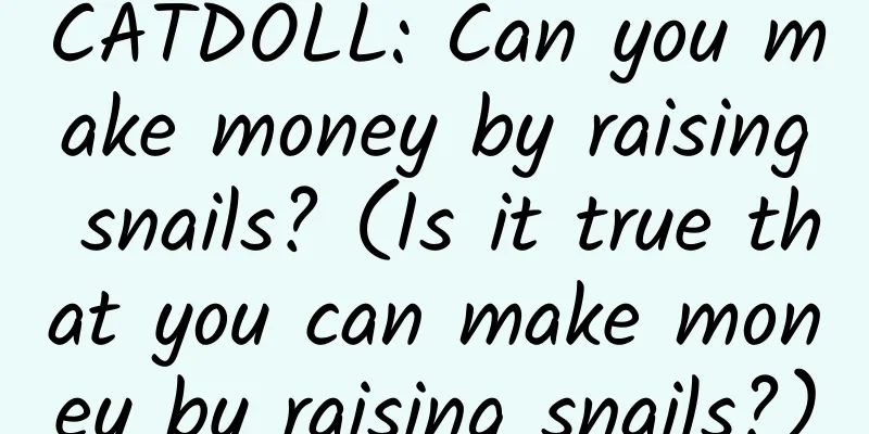 CATDOLL: Can you make money by raising snails? (Is it true that you can make money by raising snails?)